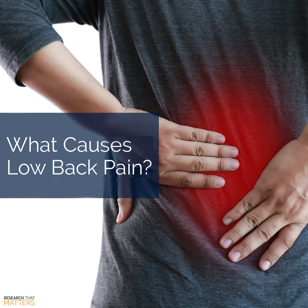 What causes low back pain